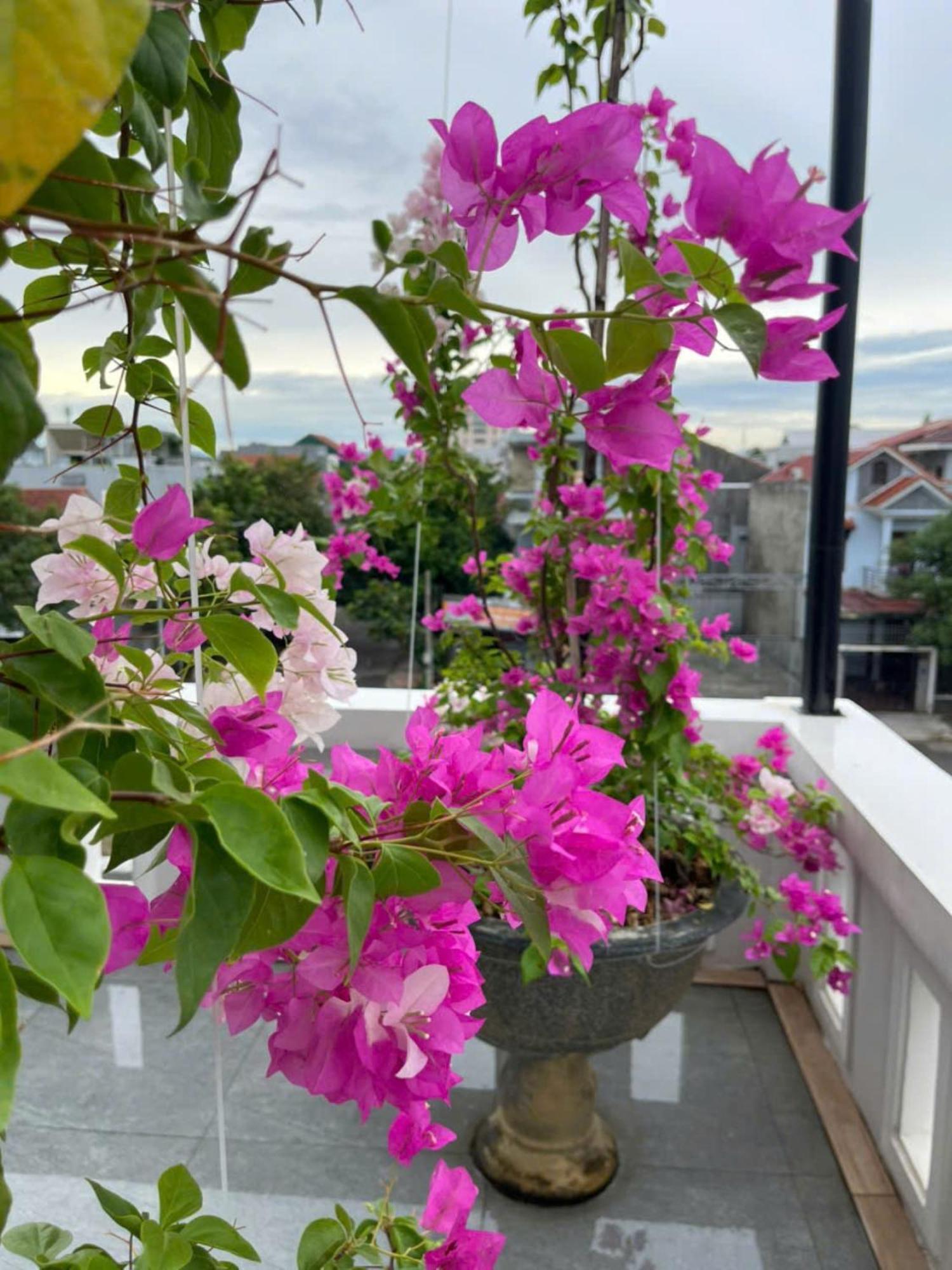 Nhat Long Homestay Hue Exterior photo